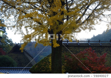 Korankei in the morning Korankei in the morning 59840027