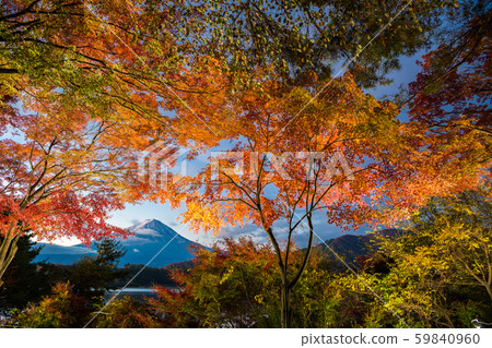 Fuji and autumn leaves Fuji and autumn leaves 59840960