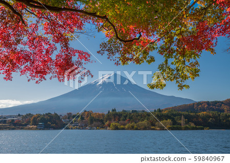 Fuji and autumn leaves Fuji and autumn leaves 59840967