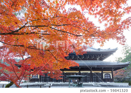 Nanzenji in autumn 59841320