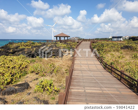 Jeju Scenery 59841422