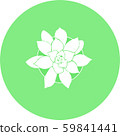 Stylized succulent 59841441