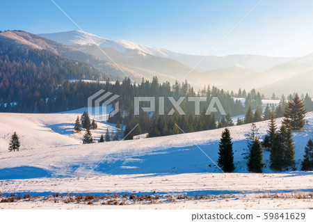 winter fairy tale in carpathian mountains winter fairy tale in carpathian mountains 59841629