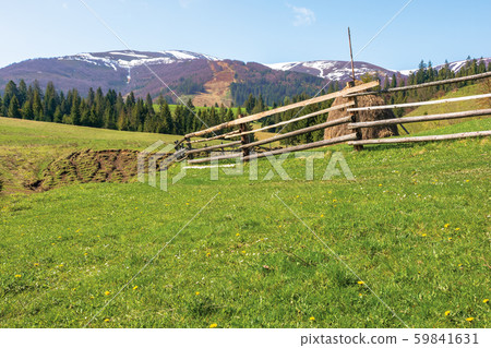 transcarpathian rural landscape in springtime transcarpathian rural landscape in springtime 59841631