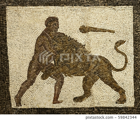 hercules fighting with a lion hercules fighting with a lion 59842344