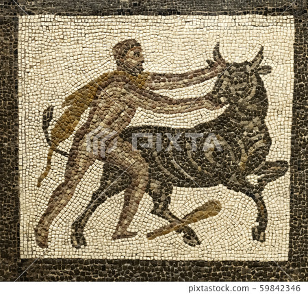 fighting with a bull fighting with a bull 59842346