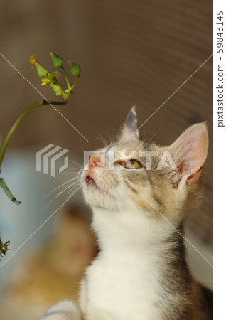 Very interesting 59843145