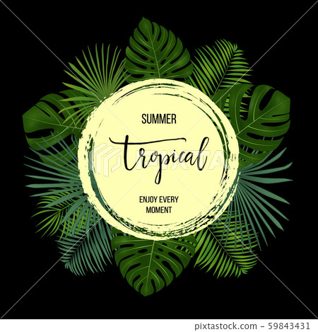Summer tropical background with exotic palm leaves and plants. Summer tropical background with exotic palm leaves and plants. 59843431