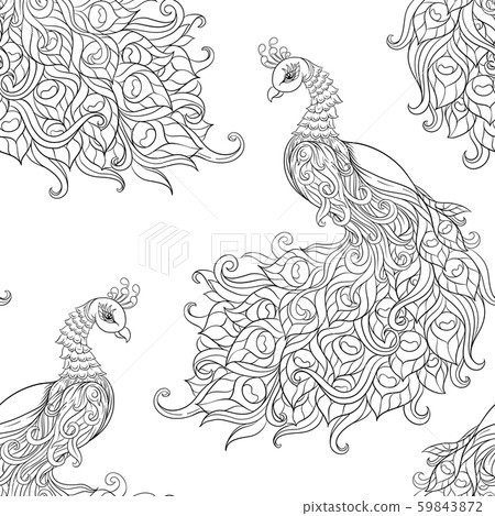 Peacock bird seamless pattern, background. Peacock bird seamless pattern, background. 59843872