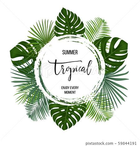 Summer tropical background with exotic palm leaves and plants. Summer tropical background with exotic palm leaves and plants. 59844191