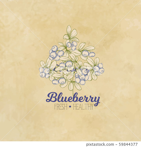 Blueberry. Element for design. Blueberry. Element for design. 59844377