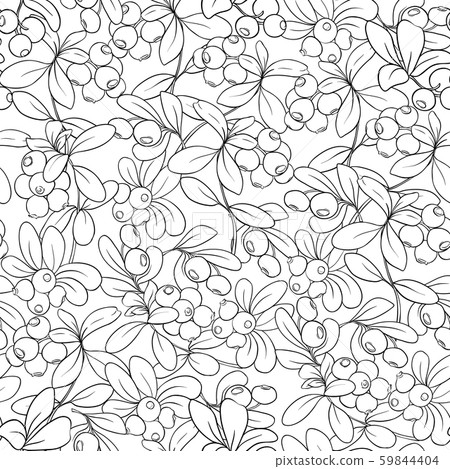 Cranberry. Seamless pattern Cranberry. Seamless pattern 59844404