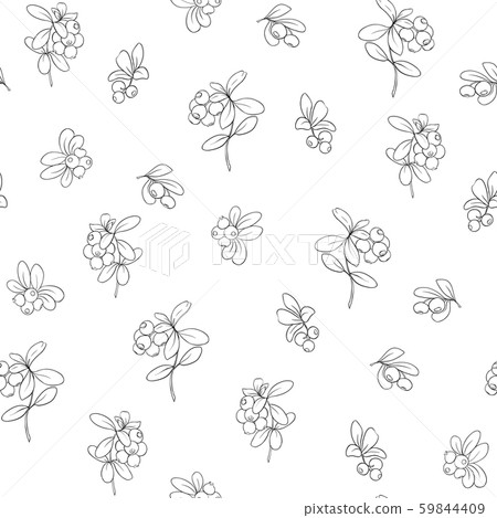 Cranberry. Seamless pattern 59844409