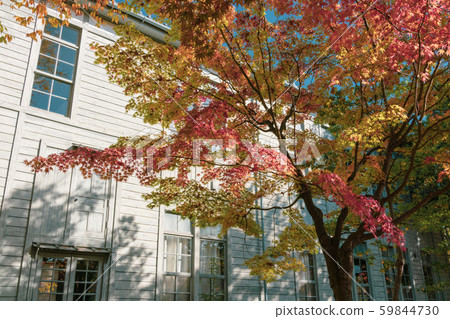 松本高中前校舍（Agata no Mori文化廳）：松本市秋天 59844730