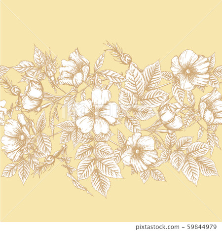 Dog-rose, briar, brier, eglantine, canker-rose Dog-rose, briar, brier, eglantine, canker-rose 59844979