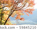 Autumn leaves 59845210