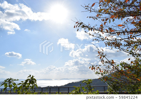 Scenic sky Scenic sky 59845224