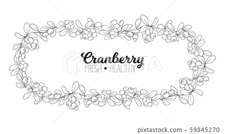 Cranberry. Element for design. Cranberry. Element for design. 59845270
