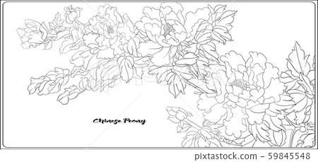 Peony tree branch with flowers Peony tree branch with flowers 59845548