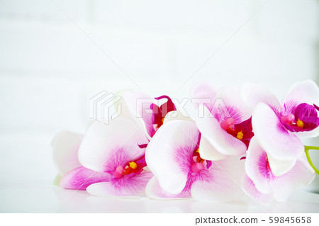 Spa and wellness scene. Orchid flower on the wooden pastel background 59845658