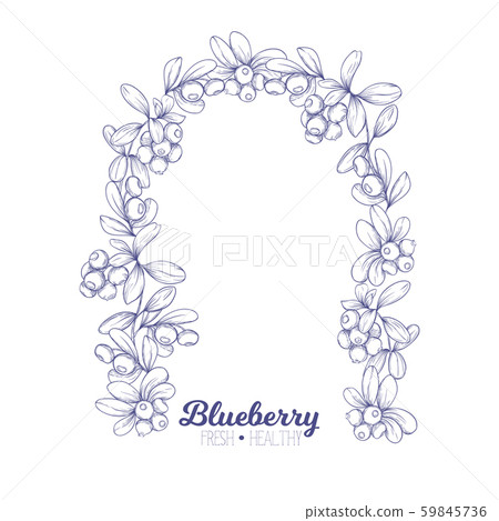 Blueberry. Element for design. 59845736