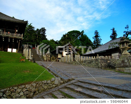 Stairs to climb Nara, Todaiji and Nigatsu-do (1) 59846044