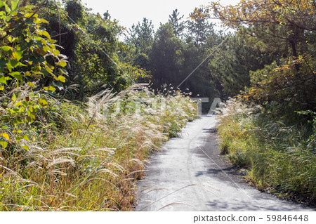 Sakurajima Lava Nagisa Promenade Sakurajima Lava Nagisa Promenade 59846448