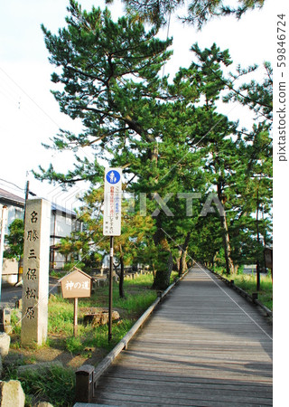 Stone Pillars Of Scenic Spot Miho Matsubara Stock Photo