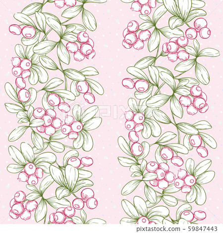 Cranberry. Seamless pattern Cranberry. Seamless pattern 59847443