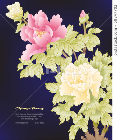 Peony tree branch with flowers - Stock Illustration [59847702] - PIXTA