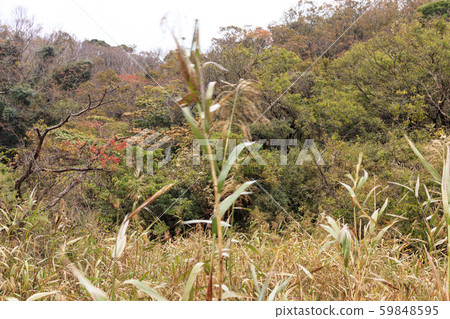 Wetlands (late autumn) 59848595