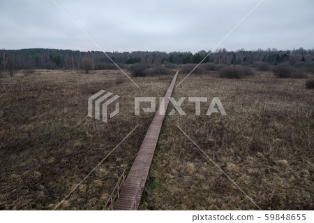 Panoramic view of autumn field with withered grass with wooden path Panoramic view of autumn field with withered grass with wooden path 59848655