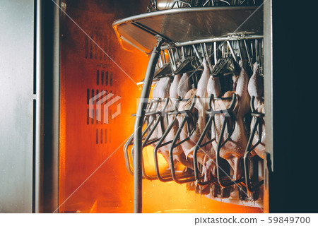 bird chicken factory line hang poultry industry bird chicken factory line hang poultry industry 59849700