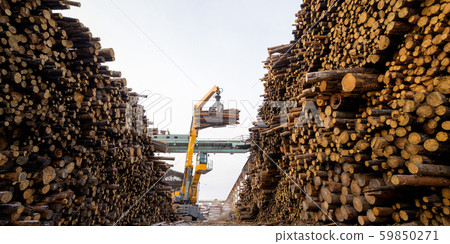 wood lift crane factory cut log storage tree wood lift crane factory cut log storage tree 59850271