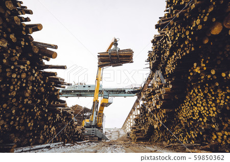 wood lift crane factory cut log storage tree 59850362