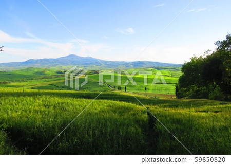 Orcia Valley in Tuscany, Italy Orcia Valley in Tuscany, Italy 59850820