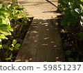 shadow 59851237