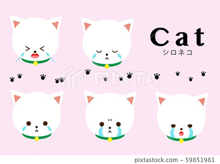 Shironeko Namida Set 59851981