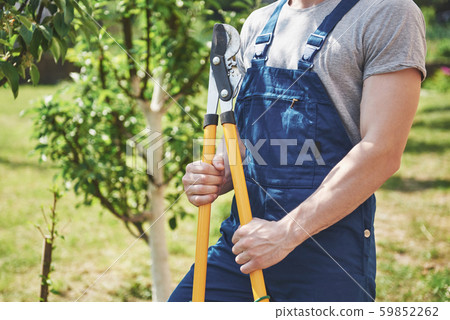 Gardener cuttings of garden plants in the spring 59852262