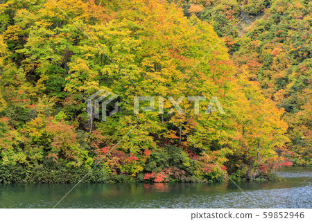 Okutadami Lake Ginzandaira Course Autumn 59852946