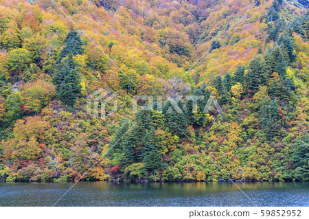 Okutadami Lake Ginzandaira Course Autumn 59852952
