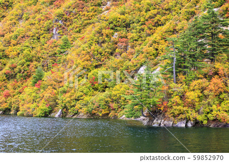 Okutadami Lake Ginzandaira Course Autumn 59852970