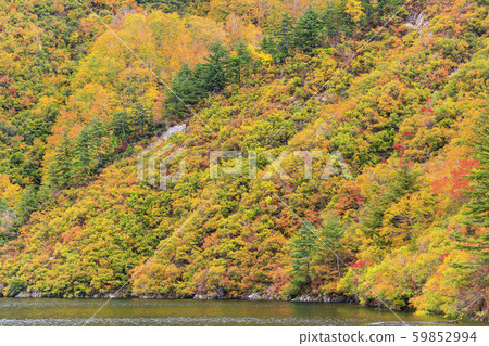 Okutadami Lake Ginzandaira Course Autumn 59852994
