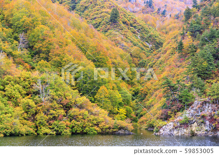 奧庫塔米湖金贊達拉課程秋季 59853005