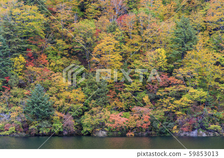 Okutadami Lake Ginzandaira Course Autumn 59853013