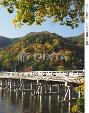 The autumn leaves of Arashiyama and Togetsu bridge 59853074