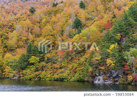 Okutadami Lake Ginzandaira Course Autumn 59853084