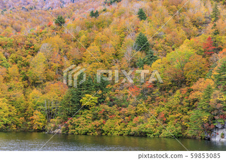 Okutadami Lake Ginzandaira Course Autumn 59853085