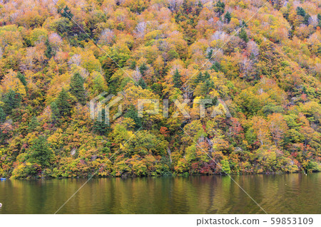 Okutadami Lake Ginzandaira Course Autumn 59853109