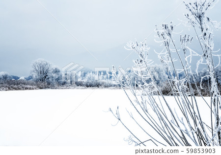 Ancient times, snowflake Ancient times, snowflake 59853903
